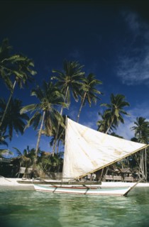 PHILIPPINES, Visayan Islands, Boracay Island, Sailboat moored on the beach lined with tall palms