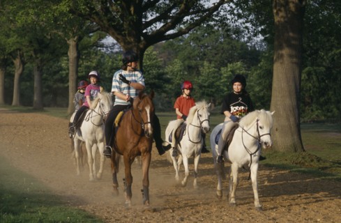 10065622 SPORT  Equestrian Horses  Group of horse riders in park