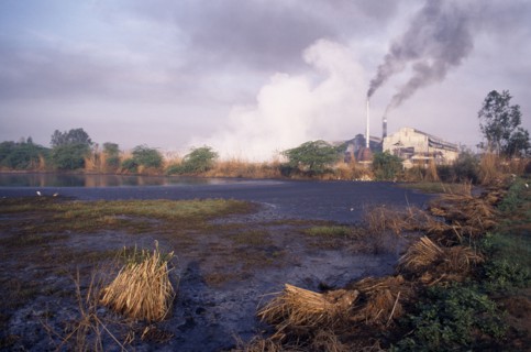 INDIA, Uttar Pradesh , Sugar Cane, Sugar mill emitting dark clouds of smoke from chimneys beside