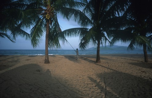 VIETNAM, South , Nha Trang , Sandy beach with palms looking toward the sea
