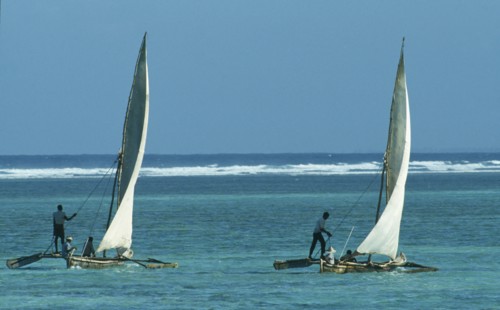 ZANZIBAR, Boats, Dhows off Zanzibar Coast