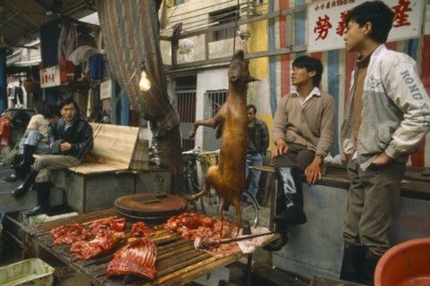 CHINA, Guangdong Province, Guangzhou , Dog meat for sale on street stall.