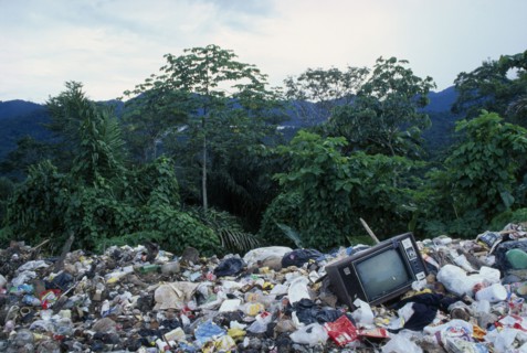 WEST INDIES, Trinidad, Northern Range, Rubbish dump in rainforest .
