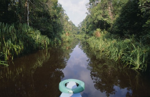 INDONESIA, Borneo, Sarawak, Jungle and river seen from the bow of a small boat