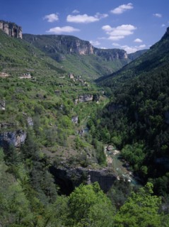 FRANCE, Languedoc Roussillon, Lozere, Sainte Enimie.  View along the Gorges du Tarn towards village