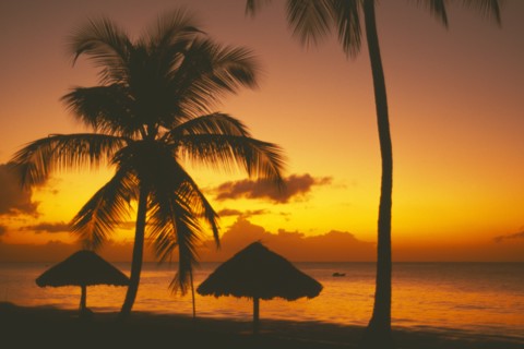 WEST INDIES, Tobago, Turtle Beach, Sunset at sea through coconut palm trees with thatched shelters