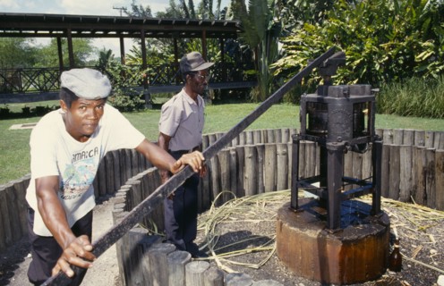 WEST INDIES, Jamaica, Industry, Old sugar cane crusher