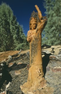 AUSTRALIA, Northern Territories, Alice Springs, William Ricketts wooden sculpture of nature