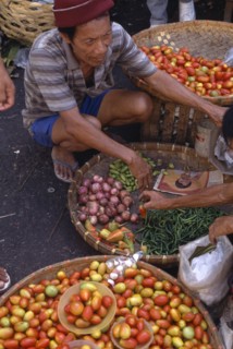 PHILIPPINES, Cebu Island, Cebu City, Fruit and vegetable vendor crouching by baskets of goods with