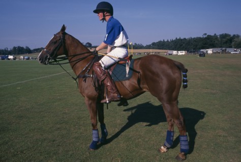10038346 SPORTS Equestrian Polo Horse and rider at Cowdray Park during Pony change.