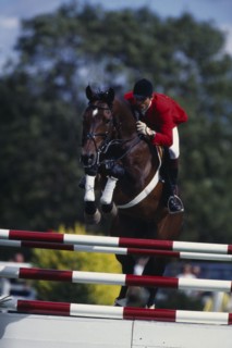 10038994 SPORT Equestrian Show Jumping German rider Jurgen Kraus competing in the 1994 Hickstead Derby  clearing parallel bars on bay horse.