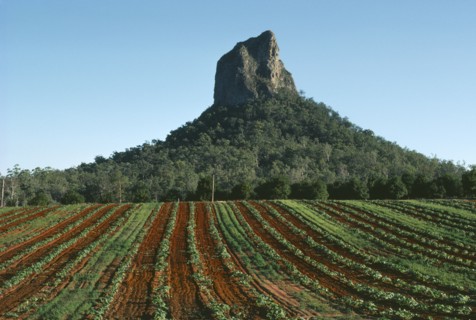 AUSTRALIA, Queensland, Glasshouse Mountains, Cultivated land showing red soil with Mount Coonowrin