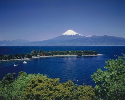 JAPAN, Honshu, Suruga Bay, Mount Fuji with snow cap above the tree lined deep blue water of the bay