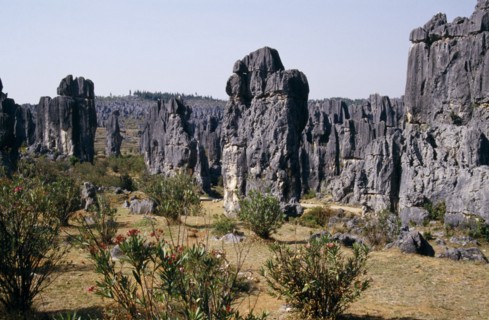 CHINA, Yunnan Province, Shilin, "The Stone Forest, near Kunming. Grey limestone rock pinnacles
