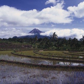 INDONESIA, Java, Mount Merapi, Volcano peak through clouds with rice paddies in foreground