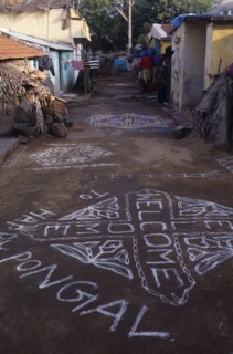 INDIA, Tamil Nadu, Festivals, Pongal Festival.  Four day festival to mark the end of harvest.