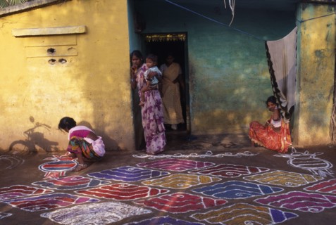 INDIA, Tamil Nadu, Festivals, Pongal festival marking the end of harvest and lasting four days.