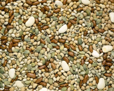 FOOD, Beans and Pulses, Mixed dried beans.