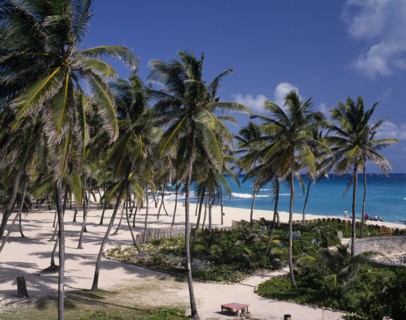 BARBADOS, St Philip, "Sam Lords Castle Hotel beach, palms in sand,  gardens with wall "