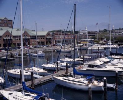 USA, Rhode Island, Newport, Marina and yachts moored at jetty and harbour buildings beyond