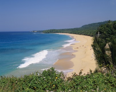 DOMINICAN REPUBLIC, Rio San Juan, Playa Grande, View of sandy beach backed with palm trees and