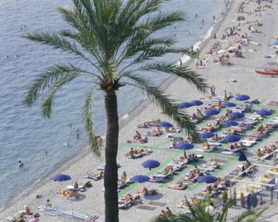FRANCE, Provence Cote d’Azur, Alpes Maritime, "Nice Beach from above with a palm tree, sunbathers