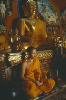 THAILAND, Chiang Mai, "Young monk praying beneath seated golden Buddha figures,"