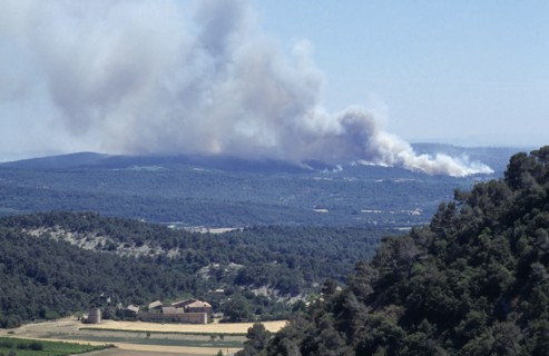 FRANCE, Provence Cote d’Azur, Luberon , Mass of smoke from a forest fire rising above green