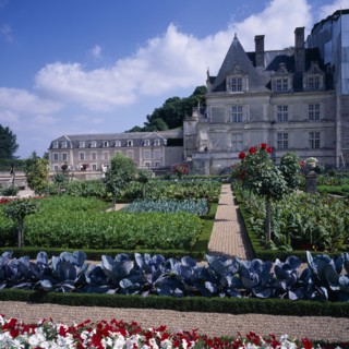 FRANCE, Indre Loire, Villandry, Chateau and gardens