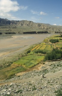 CHINA, Qinghai, Guide, Yellow River with agricultural land in foreground and rugged landscape on