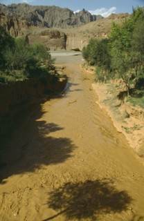 CHINA, Yellow River , View over rapid flowing silt laden water toward main river