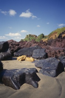 INDIA, Goa, Keri Beach, "Coastal landscape.  Large black, yellow and red rocks in the sand"