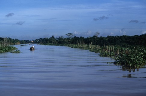 VIETNAM, South, Mekong Delta, Near Vinh Long - small boats travel on river between mangroves