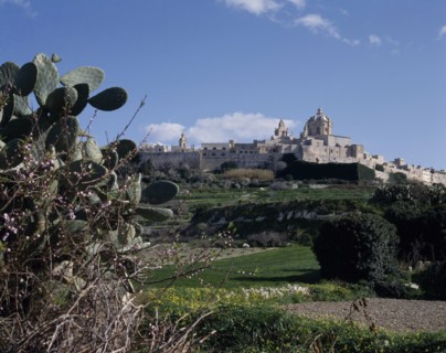MALTA, Mdina, View past prickly pears over fields to the fortified hilltown and cathedral