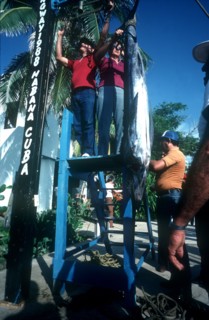 CUBA, Hemmingway Marina, Marina Fishing Contest with men hanging their catch from a platform for