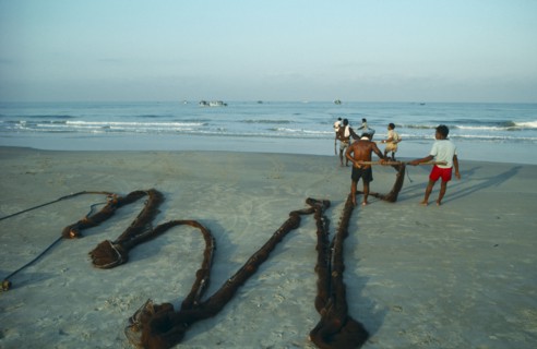 INDIA, Goa, Fishermen hauling nets ashore on Colva beach.