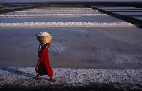 10127776 INDIA Gujarat Diu Woman wearing red carries salt in basket on her head across white salt pan