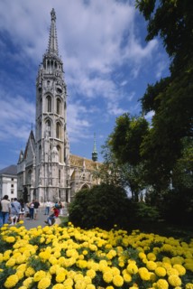 HUNGARY, Budapest , Matthias Church with flower bed full of yellow dahlias in the foreground.