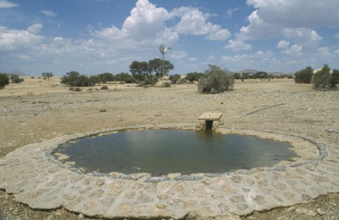 NAMIBIA, Namib Desert, Namib Naukluft Park, Animal waterhole with wind pump in the distance