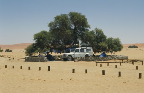 NAMIBIA, Namib Desert, Sesriem, Tourists camping under tree in the desert