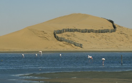 NAMIBIA, Walvis Bay, Barrier to prevent dune movement and lagoon with flamingos below