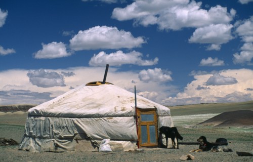 MONGOLIA, South Gobi , Dogs guarding Yurt / ger