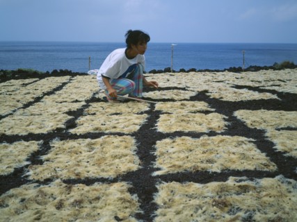 JAPAN, Izu Islands, Fishing, Woman tending seaweed drying in the sun