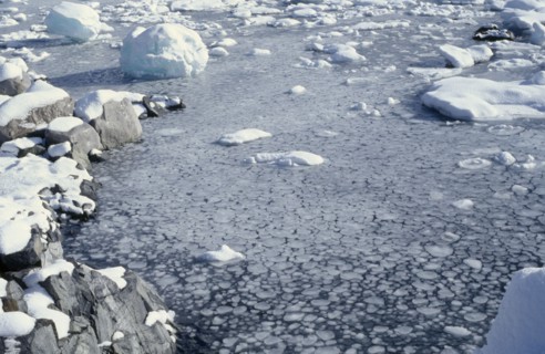 ANTARCTICA, Landscape, Pancake Ice covering the surface of the sea with snow covered land and