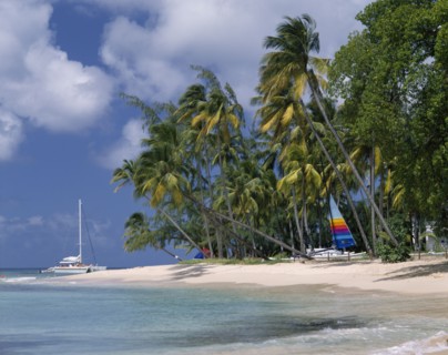 BARBADOS,  West Coast  , "Gibbs beach,deserted, hobie cat under palms, catamaran, green sea "