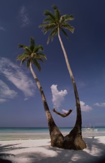 PHILIPPINES, Boracay Island, Man lying in hammock between two coconut palm trees on beach with a