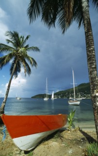 WEST INDIES, Grenadines, Union Island, Orange and white boat on coconut palm tree fringed beach