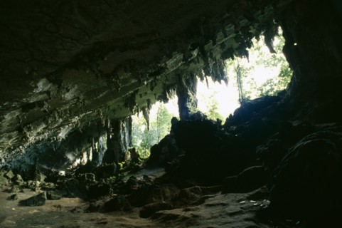 MALAYSIA, Sarawak, Niah Caves, View from rocky interior with hanging stalactites looking toward