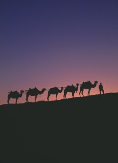 CHINA, Gansu, Dunhuang, "Silk Route. Line of camels on ridge sillhouetted at dawn, orange & blue