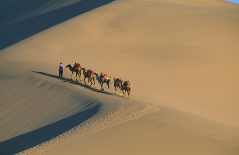 CHINA, Gansu, Dunhuang, Silk Route. View looking down to man leading camels along ridge of sand